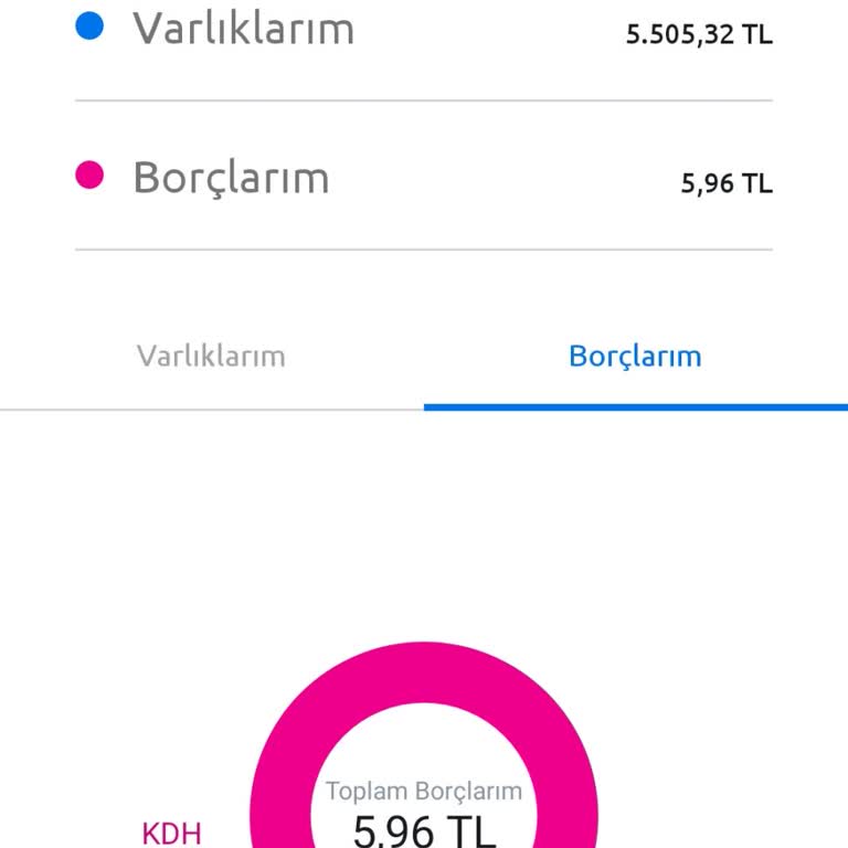 Hesap Bakiyesi Sorunu Ve Müşteri Hizmetleri Yanıtları