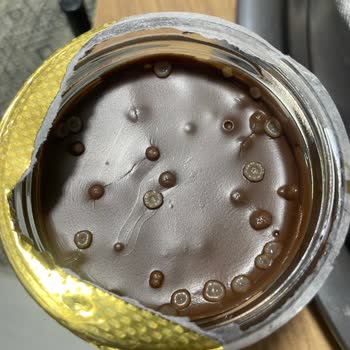 Nutella Üzerinde Küf Problemi