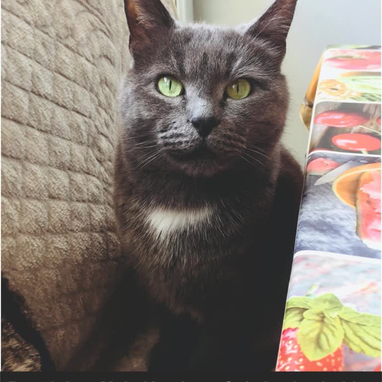 İlan Yayınlama Sorunu