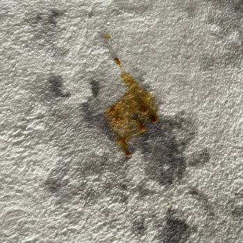 Trendyol'dan Aldığım Mama Kedimi Hasta Etti