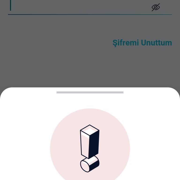 Paycell Hesabına Erişim Sorunu