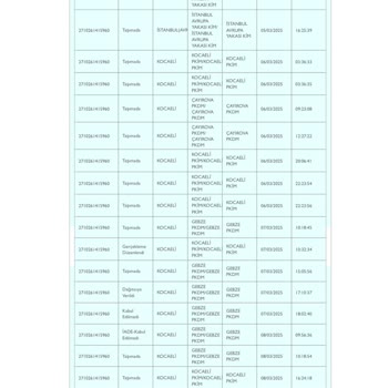 Epttavm'den Aldığım Fırın Sorunu Çözülmüyor