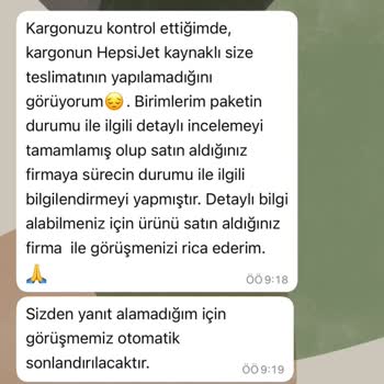 Teslim Edilemeyen Halı: Hepsijet Kargo Gecikmesi