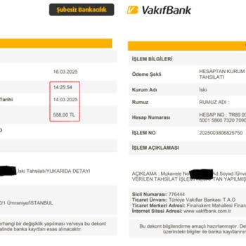 Çifte Fatura Ödemesi Ve İade Sürecinde Yaşanan Zorluklar