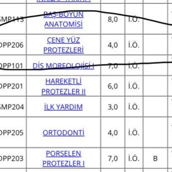 Ders Kayıt Sistemindeki Hata Yüzünden Eğitim Sürem Uzuyor