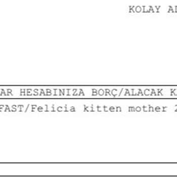 Zoom Pet Alışverişinde İletişim Sorunu Ve Ürün İadesi