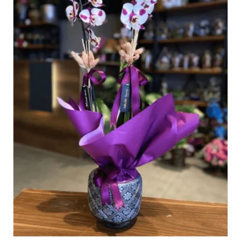 Dükkan Hera Ödeme Yapıldı Sipariş Alındı Ama Sonuç Yok!