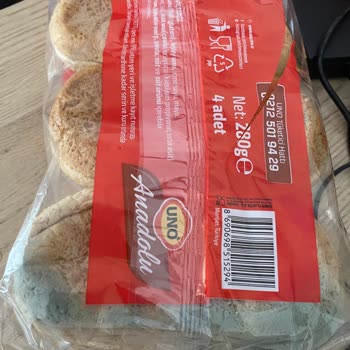 Küflenmiş Tam Buğdaylı Sandviç Ekmeği Şoku!