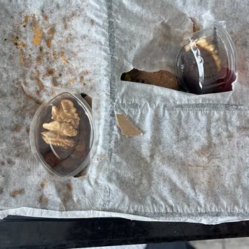 Fitzfood Üyeliği: Hayal Kırıklığı Ve Profesyonellik Eksikliği