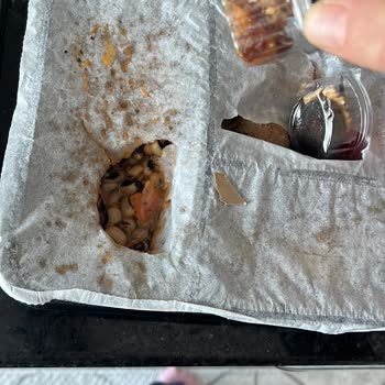 Fitzfood Üyeliği: Hayal Kırıklığı Ve Profesyonellik Eksikliği