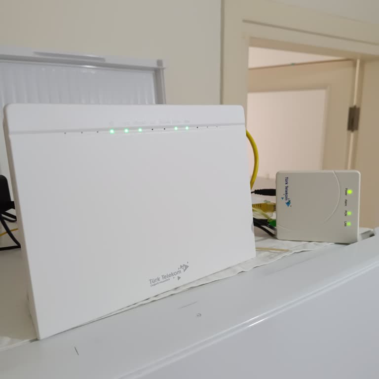 İnternet Bağlantı Sorunu Ve Çözüm Sürecindeki Zorluklar