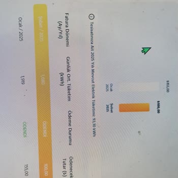 Aşırı Yüksek Fatura İtirazı: Hatalı Tüketim Ve Sayaç Okuma Sorunları