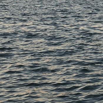 Samsung S24 Ultra İle Bitmeyen Teknik Sorunlar Ve Yetersiz Servis Deneyimi