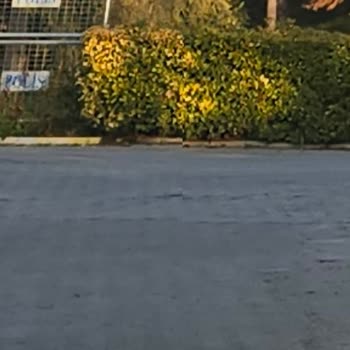 Samsung S24 Ultra İle Bitmeyen Teknik Sorunlar Ve Yetersiz Servis Deneyimi