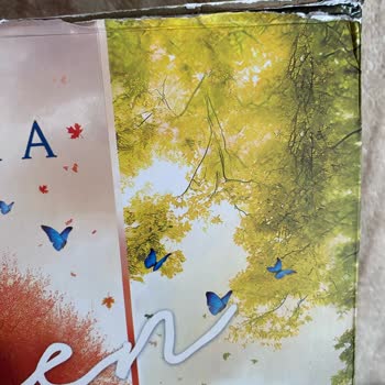 Geciken Kargo Ve Yırtık Koleksiyon Kutusu Mağduriyeti