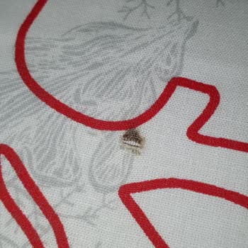 Yanık İzli Yastık Kılıfı Değişimi Bekleniyor