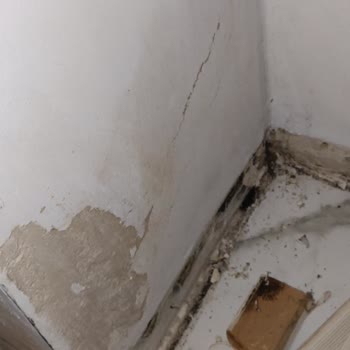 Hdi Sigorta'nın Müşteri Odaklı Olmayan Poliçe Süreci