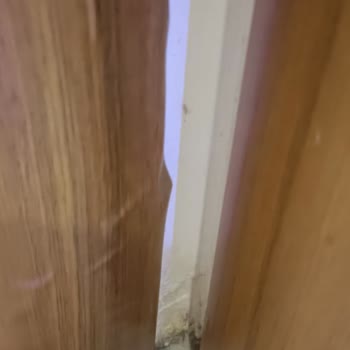 Hdi Sigorta'nın Müşteri Odaklı Olmayan Poliçe Süreci