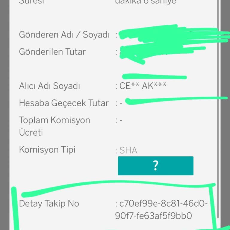 SWIFT İşleminde Bekleyen Para Ve İletişim Sorunu