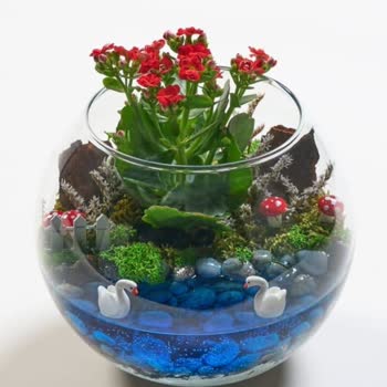 Yanıltan Ürün Ve Ulaşılamayan Müşteri Hizmetleri