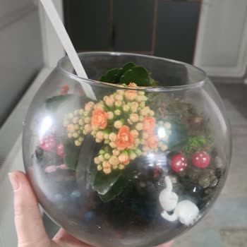 Yanıltan Ürün Ve Ulaşılamayan Müşteri Hizmetleri