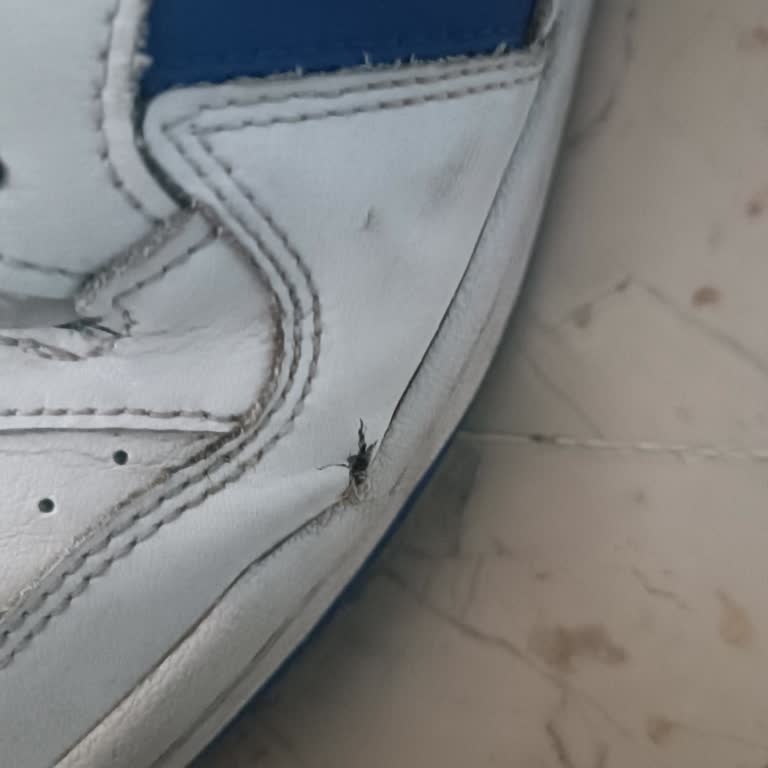 Dayanıksız Deri: Adidas Ayakkabıda Hayal Kırıklığı