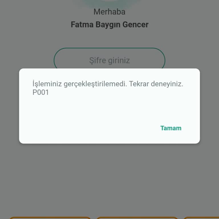 Mobil Bankacılık Hizmetlerinde Sürekli Erişim Sorunu