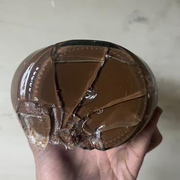 Kırık Gelen Nutella Kavanozu Ve İade Sorunu