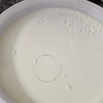 BİM'den Aldığım Yoğurtta Şok Edici Sürpriz: Kıl Çıktı!