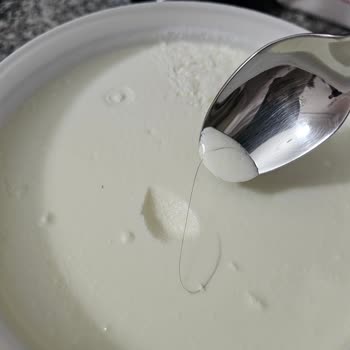 BİM'den Aldığım Yoğurtta Şok Edici Sürpriz: Kıl Çıktı!