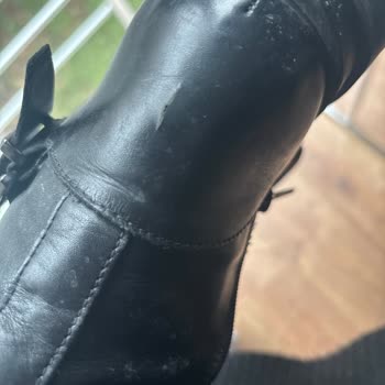 Divarese Bot Garanti Sürecinde Hayal Kırıklığı