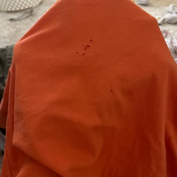 Profilo Çamaşır Makinesi Hayal Kırıklığı: Çamaşırlarım Tehlikede!