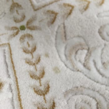 İpek Halı Yıkama: Hayal Kırıklığı Ve İlgisizlik