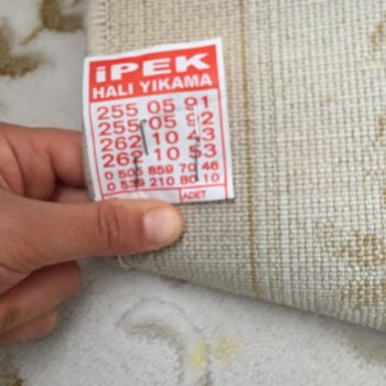 İpek Halı Yıkama: Hayal Kırıklığı Ve İlgisizlik