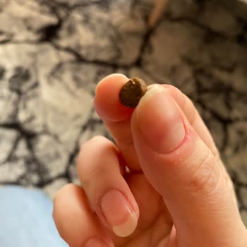 Farmina, paquete enviado con fecha de vencimiento cercana