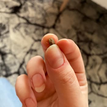 Farmina, paquete enviado con fecha de vencimiento cercana