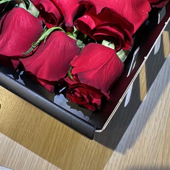 Hızlı Teslimat, Hayal Kırıklığı Yaratan Ürün