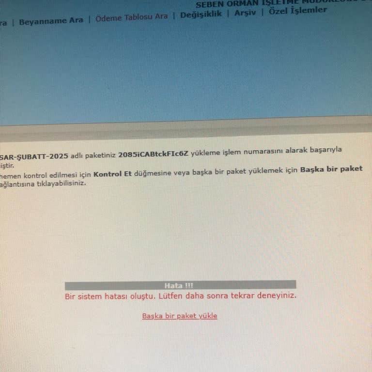 E-Beyanname Gönderiminde Sürekli Sistem Hatası