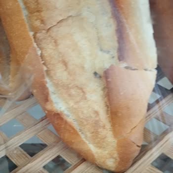 Ekmek Üzerinde Böcekler Ve İlgisiz Görevliler