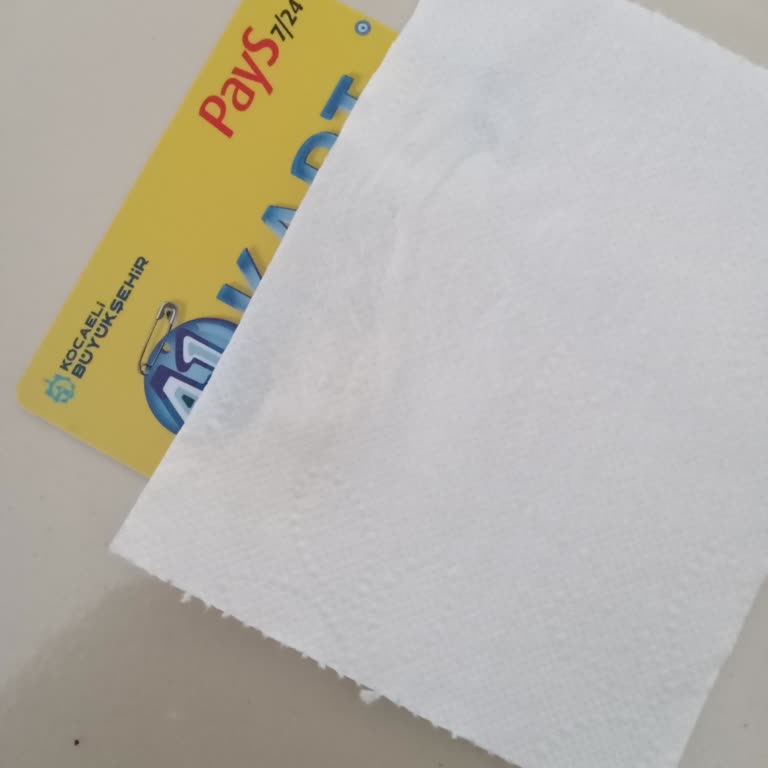 Kocaeli Büyükşehir Belediyesi 41 Kartıma Para Yatmadı