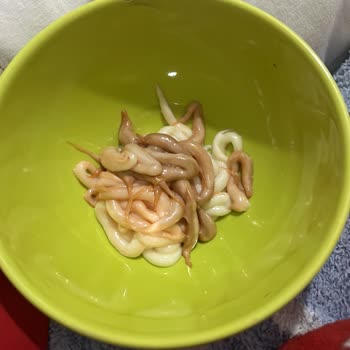 Palette Ürünleri Yine Bozuk Çıktı, Sorun Ne Zaman Çözülecek