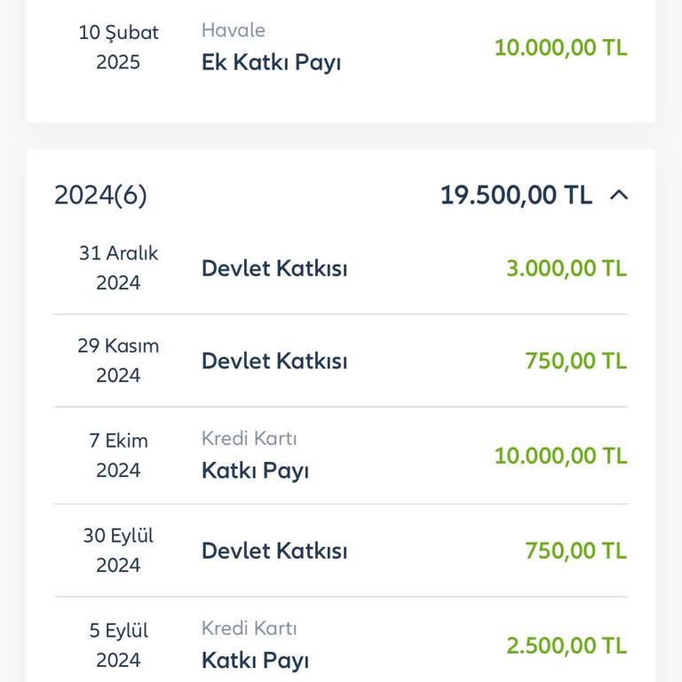 Bireysel Emeklilik Katkı Payı Sorunu: Ödemeler Neden Eksik?