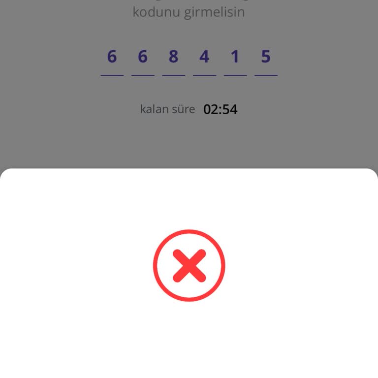 Getirfinans Giriş Sorunu: Paramı Çekemiyorum!