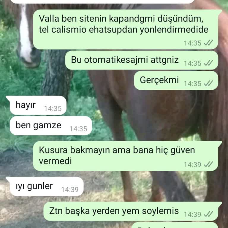 Ürün Göndermeyen Online Mağaza Hakkında Uyarı