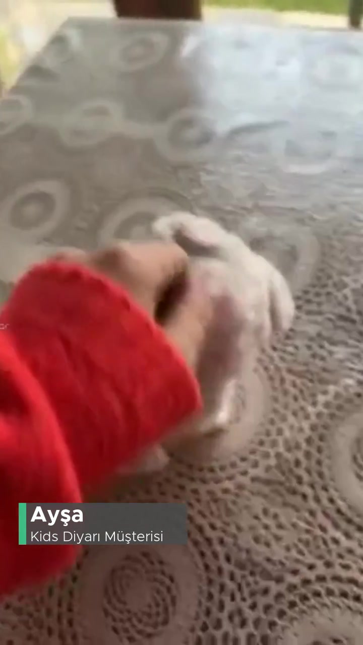 Kids Diyarı Gerçekçi Köpek Yalanı videonun kapak resmi