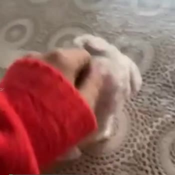 Kids Diyarı Gerçekçi Köpek Yalanı