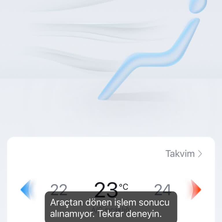 BYD App Not Responding to Commands—Remote Functions Unusable