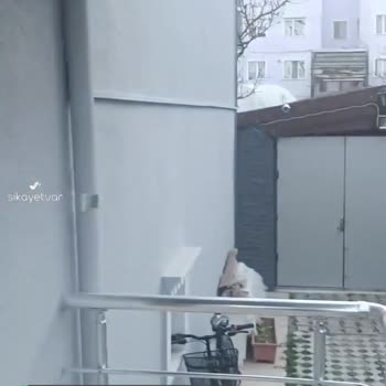 Kolay Gelsin Kargo Teslimat Sorunu
