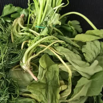 Buzdolabım Sebzeleri Donduruyor, Servis Çözüm Sunmuyor