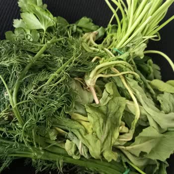 Buzdolabım Sebzeleri Donduruyor, Servis Çözüm Sunmuyor